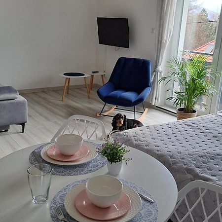 Apartamenty Bujaki Ustron Exterior foto