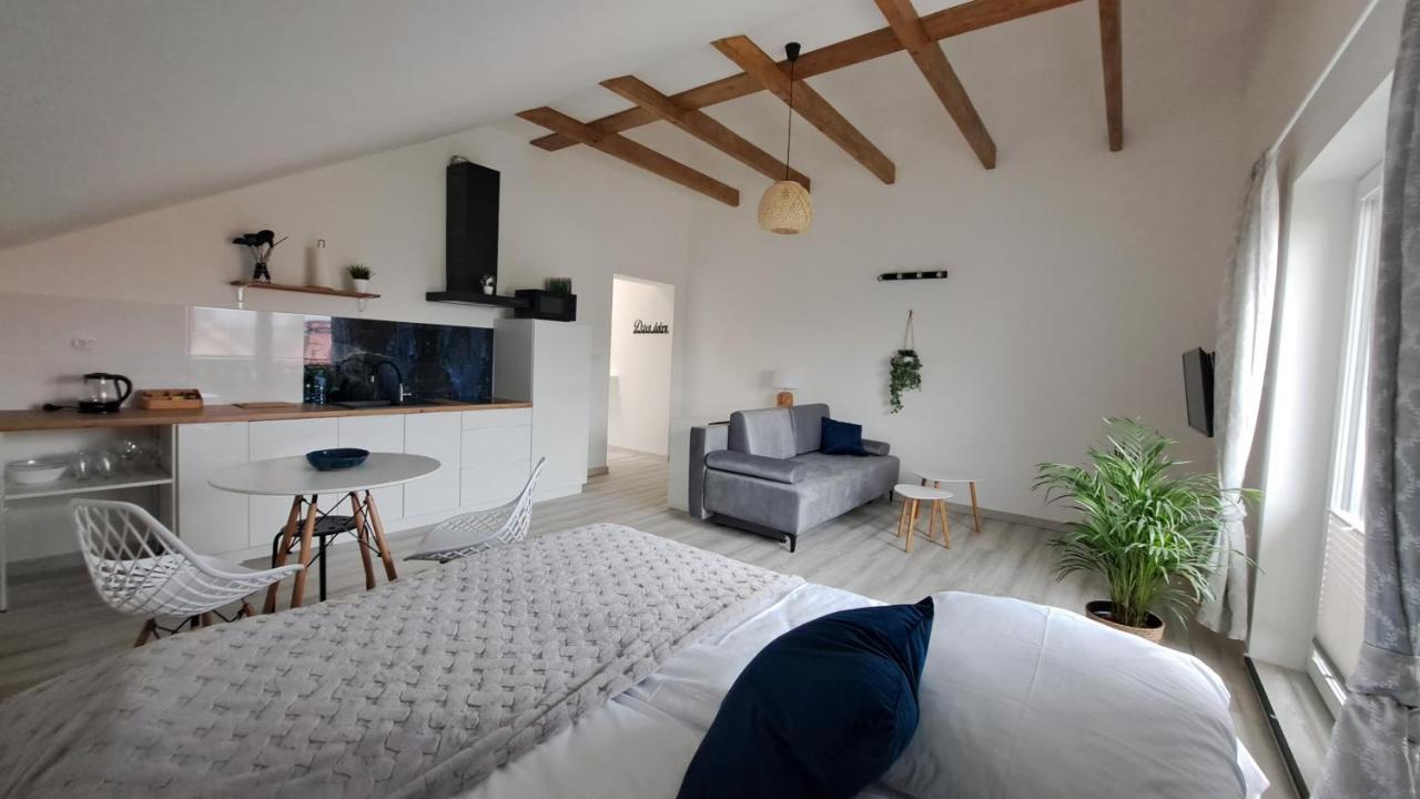 Apartamenty Bujaki Ustron Exterior foto