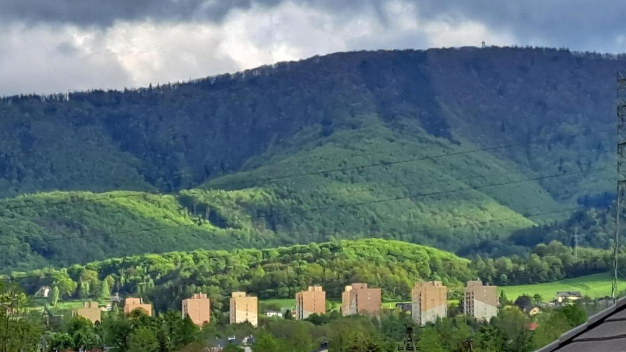 Apartamenty Bujaki Ustron Exterior foto